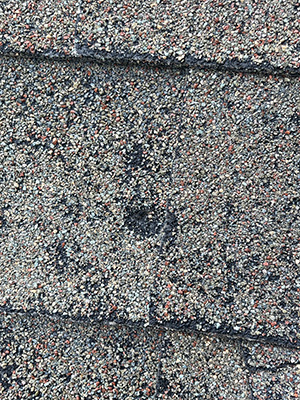 close up of hail damage to roof shingles